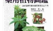 植物图鉴在线观看免费,探索自然界的绿色宝藏